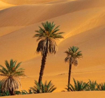 世界上面积最大的沙漠占地面积有多大？都有什么自然景观？