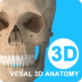 维萨里3d解剖教学app